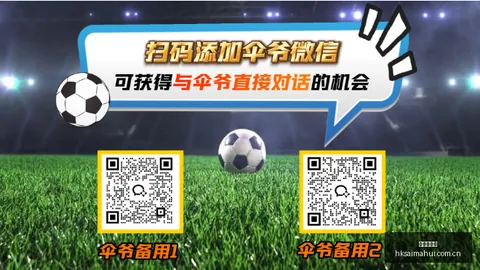 世界杯启示录马术资讯：富安健洋自省，实力提升之路在何方